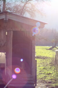 Sonne überm Hühnerstall